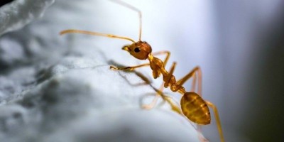 Manusia Punya Usaha, Allah Maha Kuasa