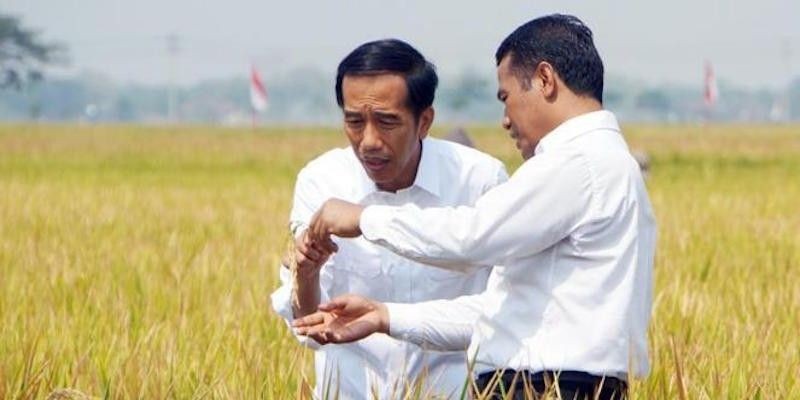 Presiden Joko Widodo dan Menteri Pertanian Amran Sulaiman dalam sebuah kesempatan.