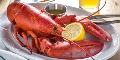 Jihad Al Nafs Demi Lobster dan Nelayan