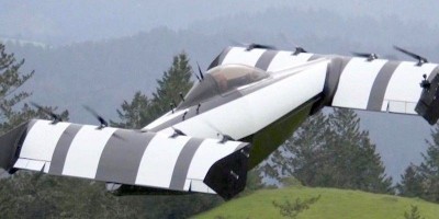 Blackfly