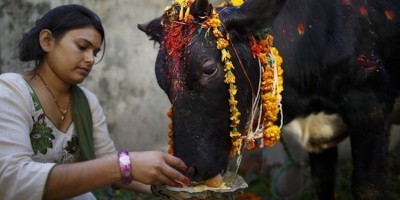 Kashmir Mikir