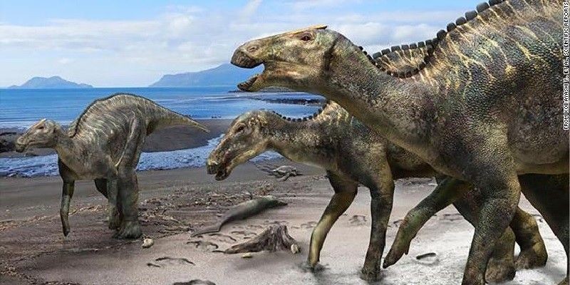 Proyeksi bentuk Kamuysaurus japonicus/CNN