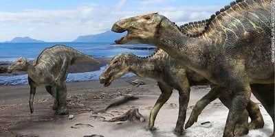 Mengenal Lebih Dekat Kamuysaurus Japonicus, Dinosaurus Jenis Baru Dari Negeri Sakura
