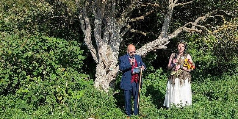 Prosesi pernikahan Kate Cunningham dengan pohon/Daily Mail