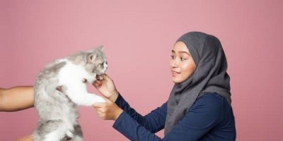 Tim Peneliti Gali Penjelasan Ilmiah Ikatan Emosional Kucing Dan Manusia