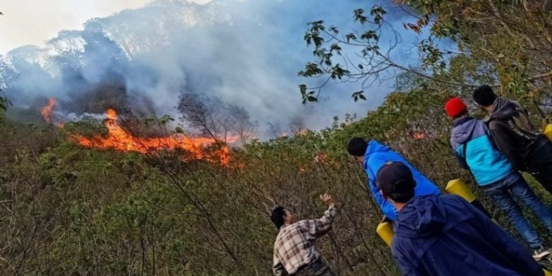 Gunung Papandayan/Net