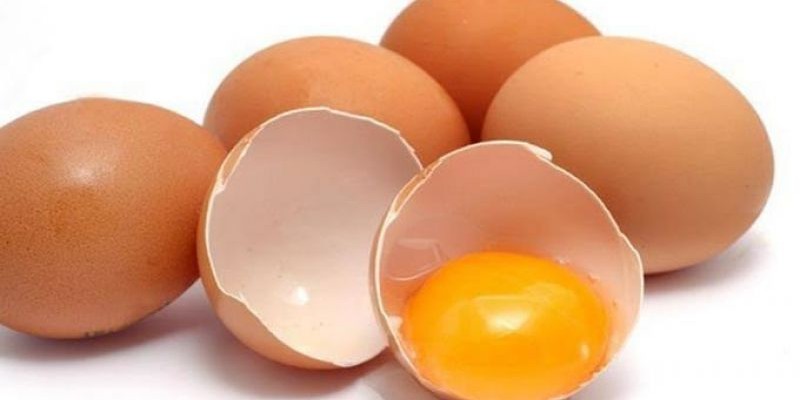 Telur ayam/Net