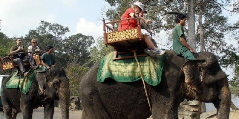 Menunggang gajah di Angor Wat Kamboja/Net