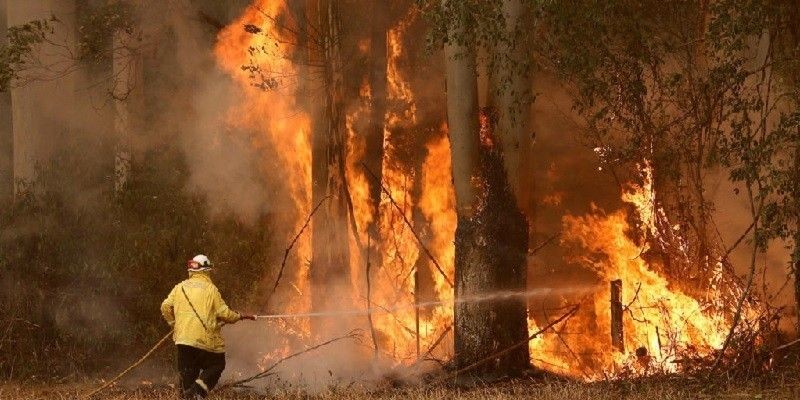 Kebakaran di Australia/Net