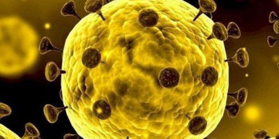 Cara Islam Menangkal Virus Corona