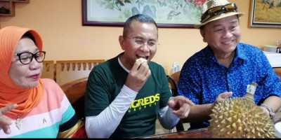 Musang King Tirto