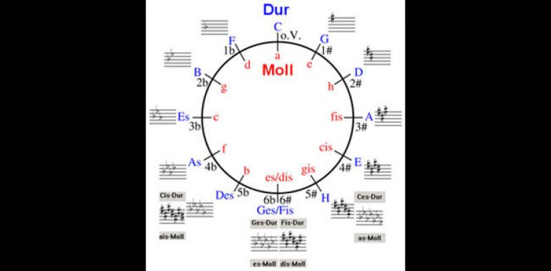 Diagram geometrika lingkaran-kuin/Net