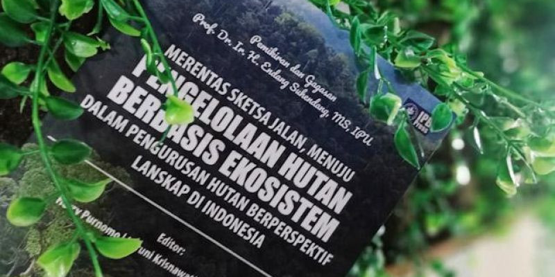 Buku Merentas Sketsa Jalan, Menuju Pengelolaan Hutan Berbasis Ekosistem Dalam Pengurusan Hutan Berperspektif Lanskap Di Indonesia, Sebuah Karya Prof. Dr. Ir. H. Endang Suhendang, MS. IPU