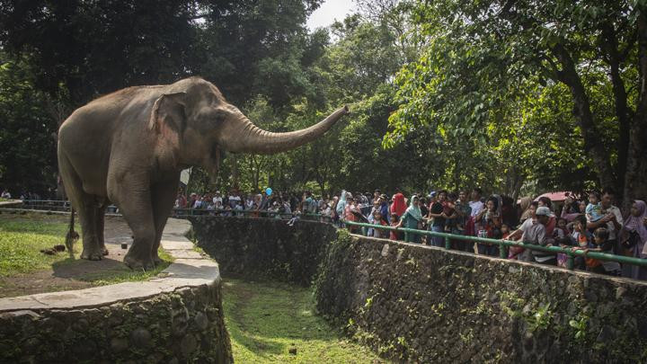 Nikmati Libur Lebaran Dengan Wisata Virtual Ke Kebon  