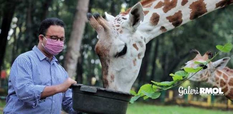 Gubernur DKI Jakarta, Anies Baswedan, saat mengunjungi Kebun Binatang Ragunan pada April lalu/Istimewa