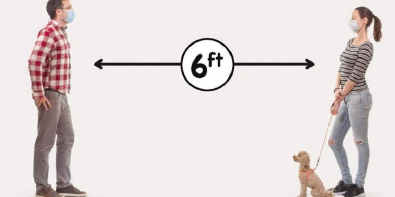 Ilutrasi jaga jarak dengan hewan peliharaan/Net