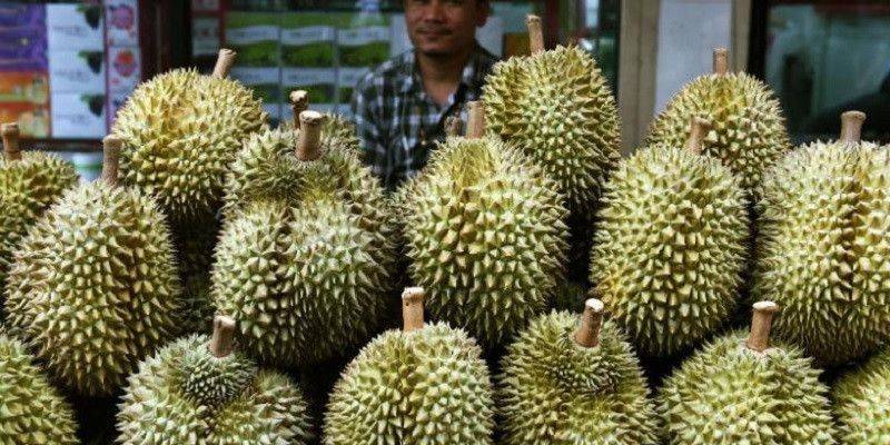 Paket berisi buah durian memicu kegaduhan di sebuah kantor pos di Jerman/Net