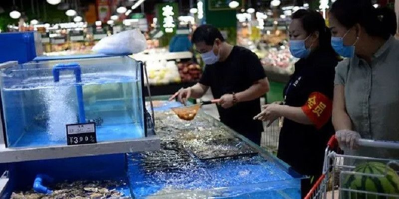 Sejumlah pengunjung mengenakan masker saat berbelanja makanan laut hidup di supermarket di China/Reuters