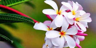 Sebelum Tertutup Pintu Surga-Mu
