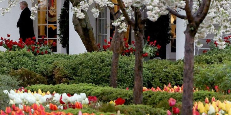 First Lady Amerika Serikat, Melania Trump mengumumkan rencana untuk merenovasi Rose Garden di Gedung Putih/Net