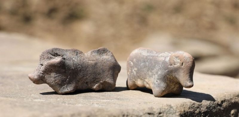 Patung-patung mainan itu ditemukan di pemukiman, diduga berasal dari sekitar 3.500 tahun yang lalu/Net