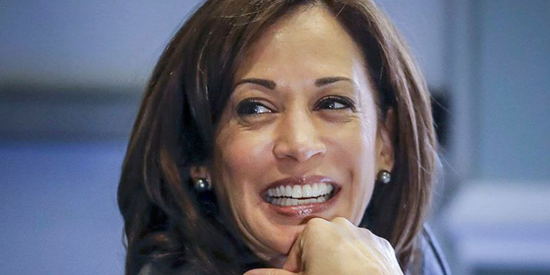 Kamala Harris/ Net