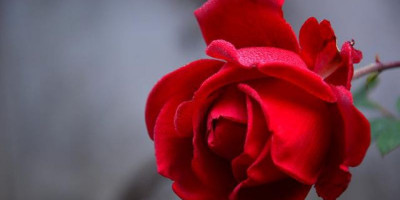 Maimunah Binti Harits, Ummul Mukminin Istri Terakhir Rasulullah
