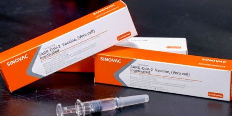 Vaksin SInovac/Net