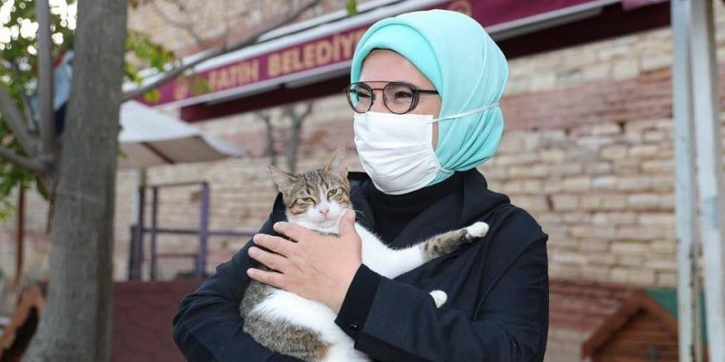 First lady Turki, Emine Erdogan, saat menggendong seekor kucing dan membelainya dengan penuh kasih sayang/ Net