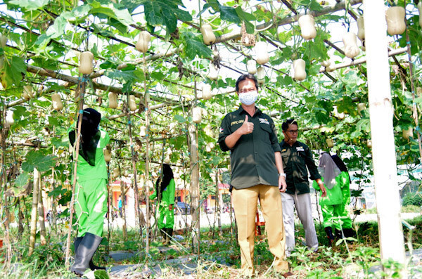SMKN 1 Karang Tengah, Cianjur siap mencetak petani-petani milenial
