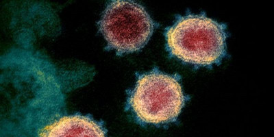  Mutasi Baru Bermunculan, WHO akan Namai Varian Virus Corona dengan Rasi Bintang