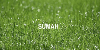 Sum’ah