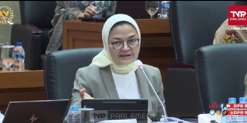 Kepala BPOM Penny K. Lukito/ Tangkapan layar Komisi IX DPR RI Channel