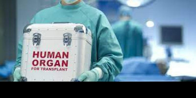 Menguak Hukum Transplantasi Organ Tubuh