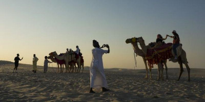 Jumlah Wisatawan Melonjak Selama Piala Dunia, Unta di Qatar Kelelahan Usai Mengangkut Turis Asing
