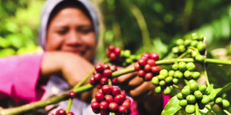 Petani kopi Indonesia/ Leaf Bean Machine