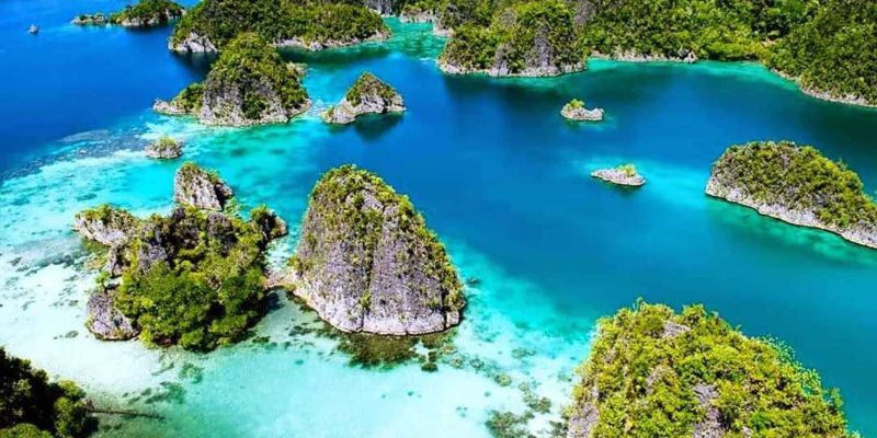 Teluk Cendrawasih, taman nasional perairan terbesar di Indonesia/Net