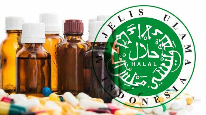 Ilustrasi obat-obatan halal/Net