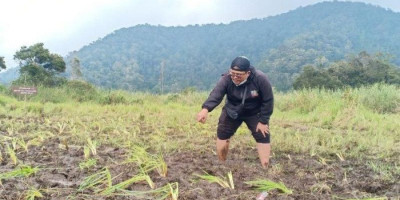 Balap Motor Rusak Habitat Tanaman, Manajer Ranca Upas Dicopot