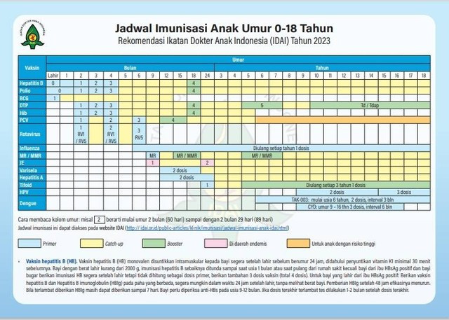Jadwal imunisasi baru 2023, rekomendasi Ikatan Dokter Anak Indonesia/Net