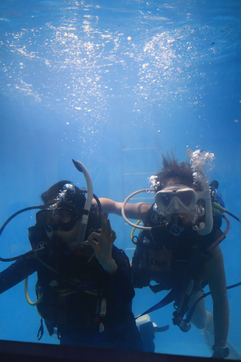 Pengunjung dipersilahkan untuk mencoba free diving di event DXI 2023 di Jakarta Convention Center/Ist 
