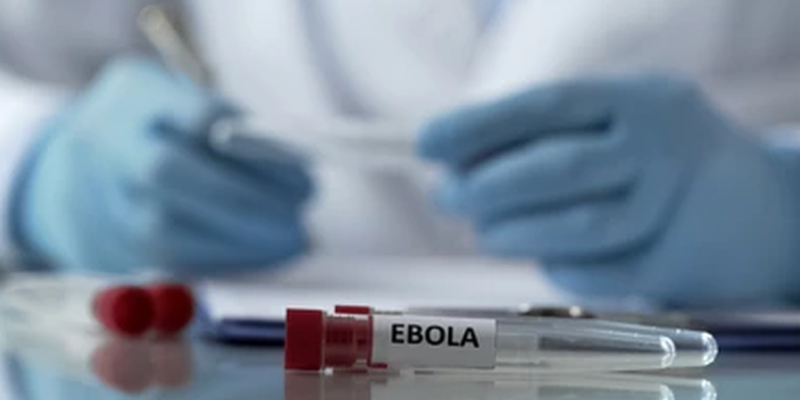 WHO tengah meneliti kemungkinan ebola menjadi pandemi baru/Net