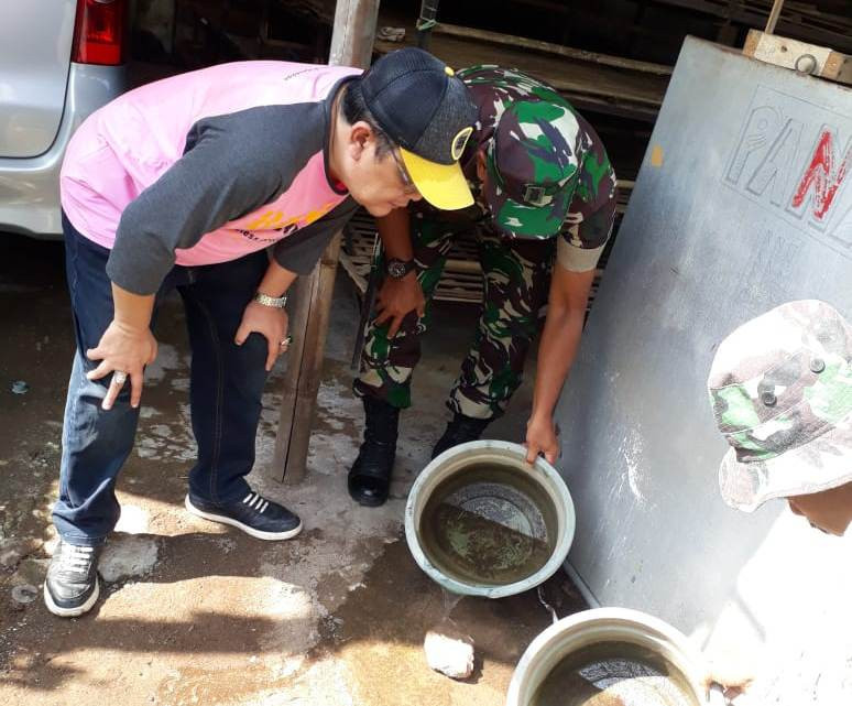 Cegah DBD. Seorang jumantik dan anggota TNI memeriksa jentik-jentik nyamuk/Net