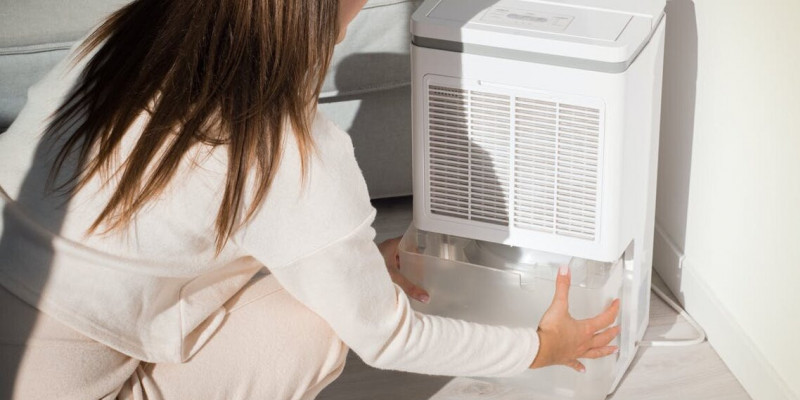 Menggunakan humidifier menjaga kelembapan udara di dalam rumah dan menjaga kesehatan anggota keluarga/Net