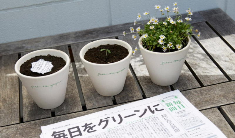 Salah satu tanaman yang dihasilkan dari Mainichi Shimbun Newspaper/Net