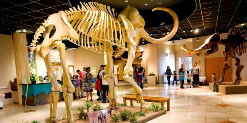 Museum of Natural History di Mesa, Arizona, Amerika Serikat yang menerapkan ramah autisme pada pengunjung/Net