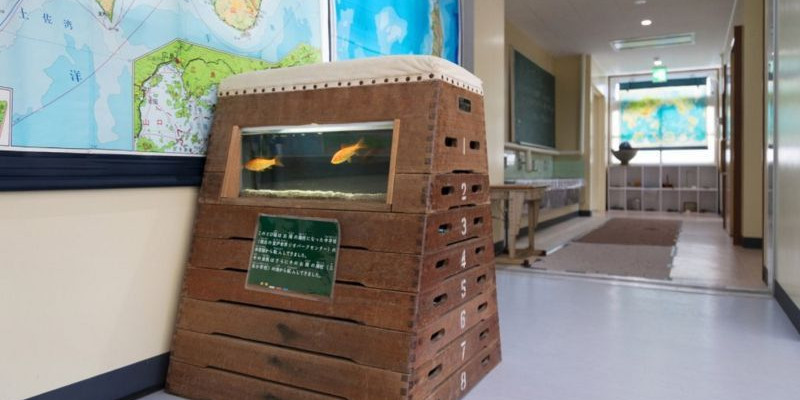 Kotak yang digunakan untuk latihan melompat di sekolah kini menjadi bagian dari dekorasi di Muroto Haiko Aquarium/Net