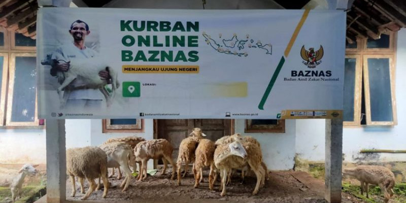 Kurban online BAZNAS/Net