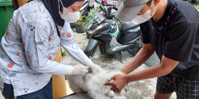 Sudin KPKP Jakpus menggelar vaksinasi rabies untuk sejumlah hewan peliharaan/Net