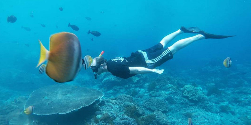 Snorkling di Nusa Penida/Net